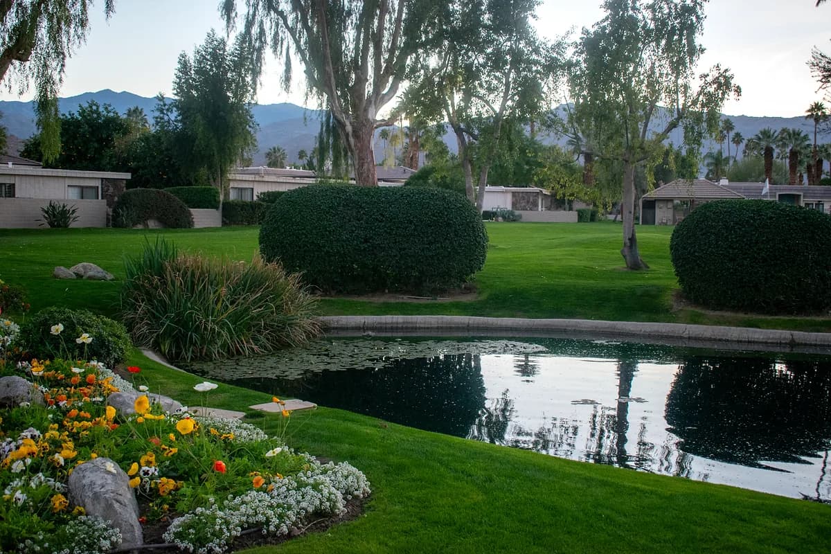 Pond with colorful flowers and manicured hedges