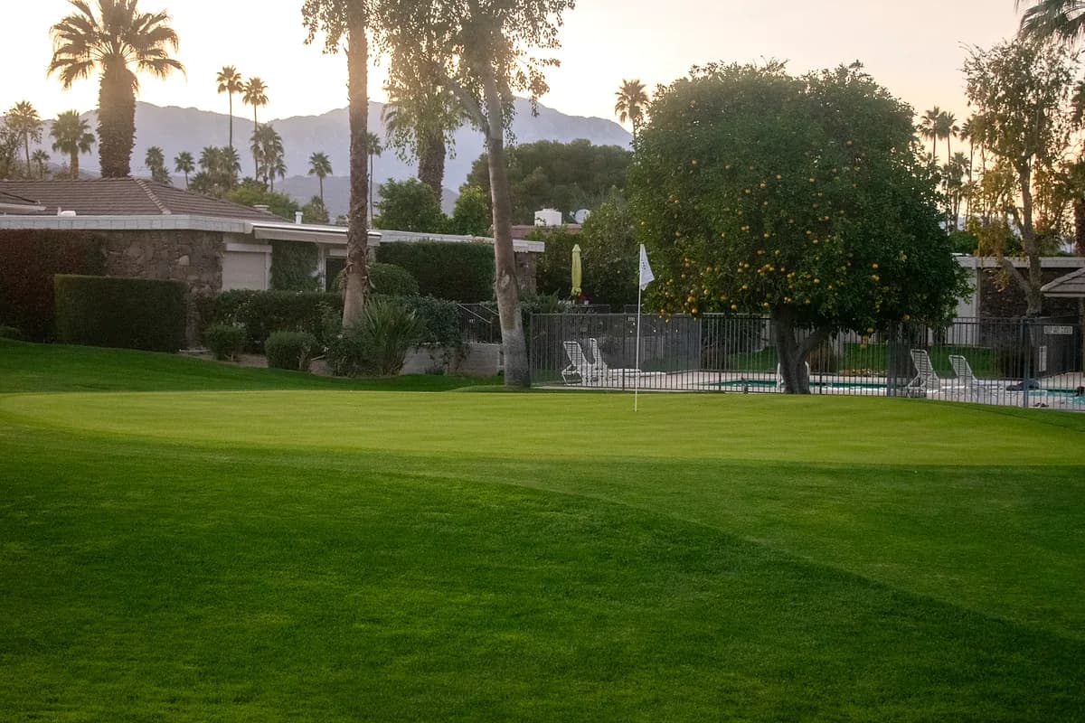 Putting green near pool area with citrus tree