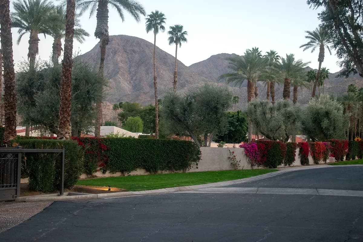 Street view with mountains and bougainvillea