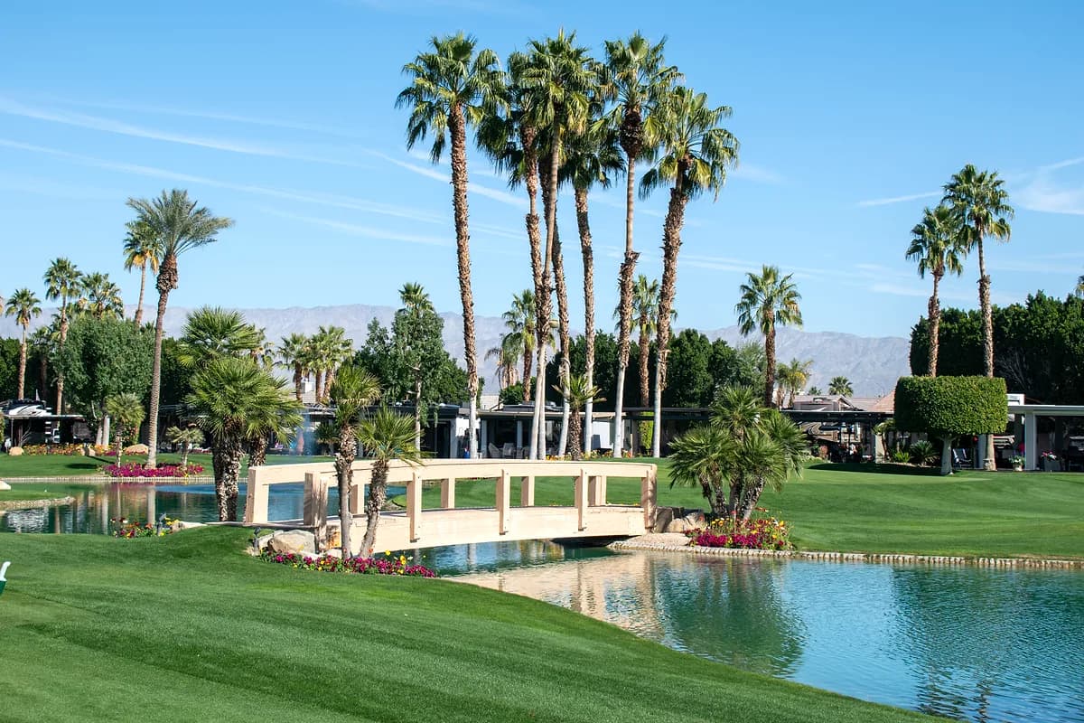 Bridge over lake with flowers and palms