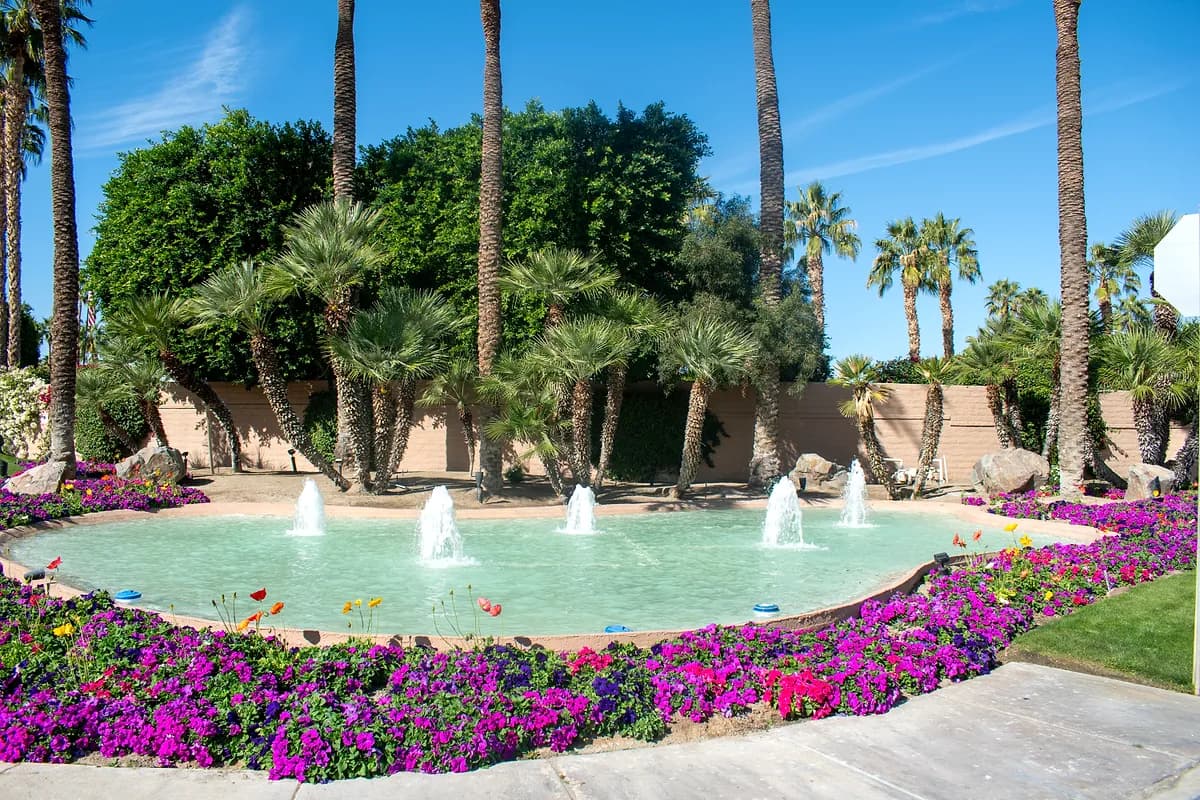 Main fountain surrounded by vibrant petunias