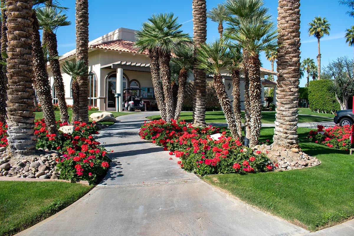 Palm-lined driveway with red flower beds