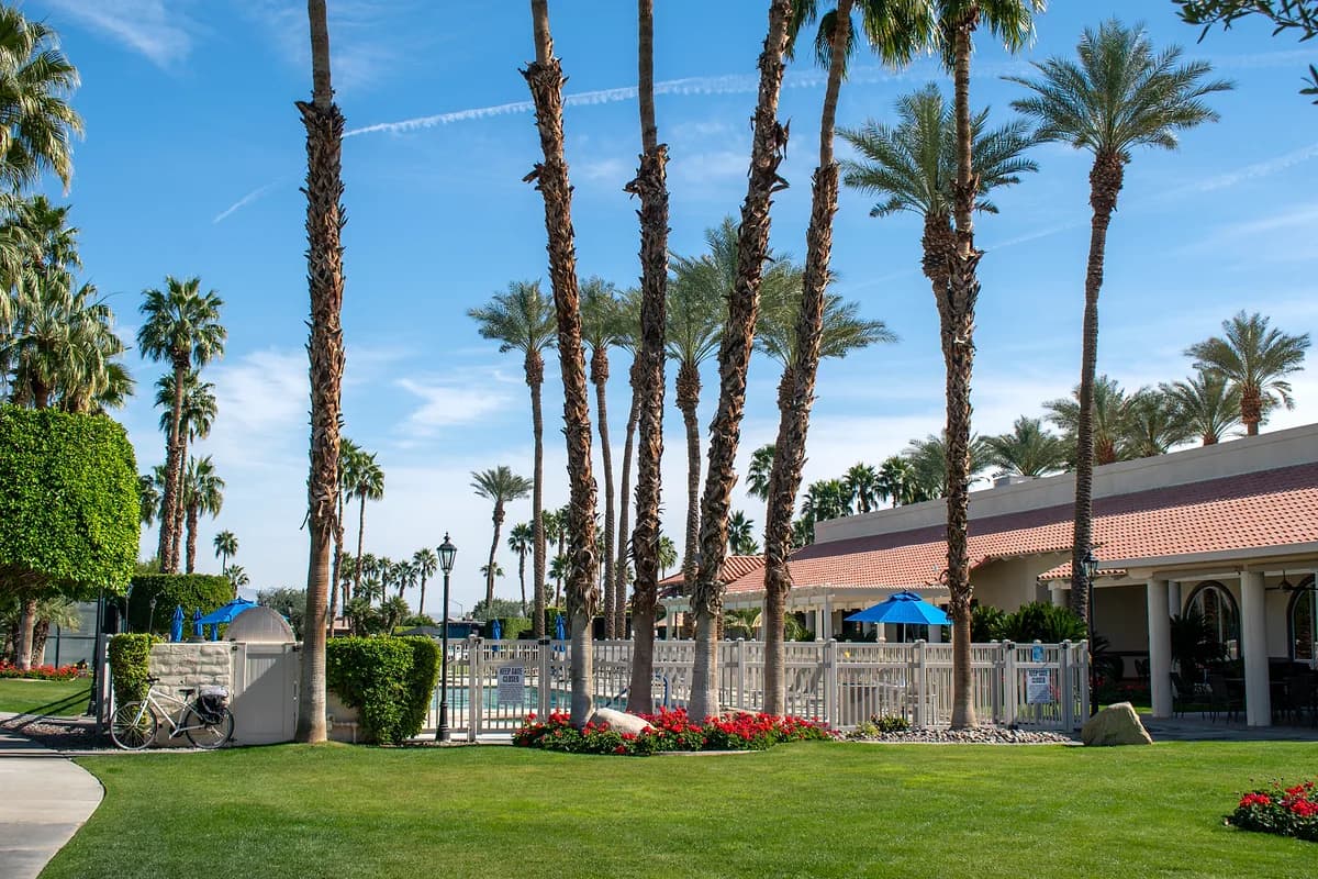Pool area with tall palms and flower beds