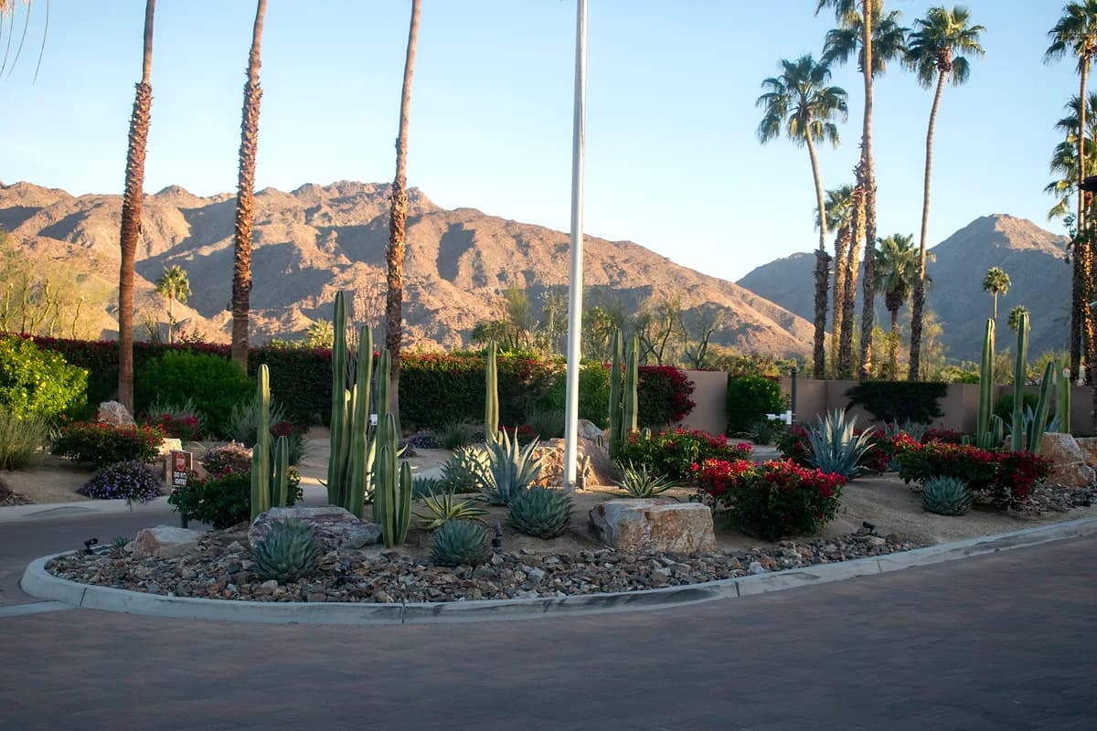 Desert roundabout with mountain views