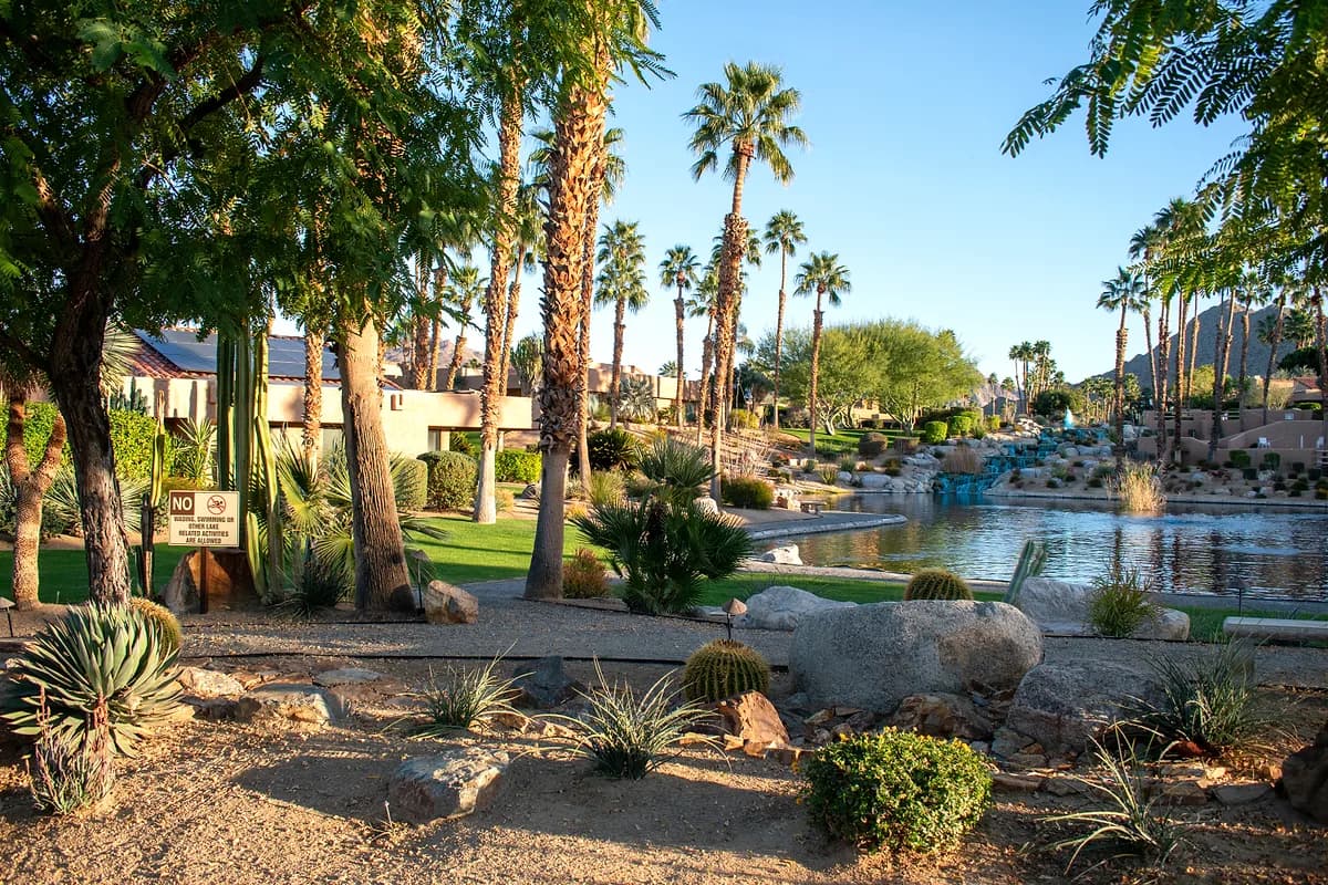 Lake view with palms and desert landscaping