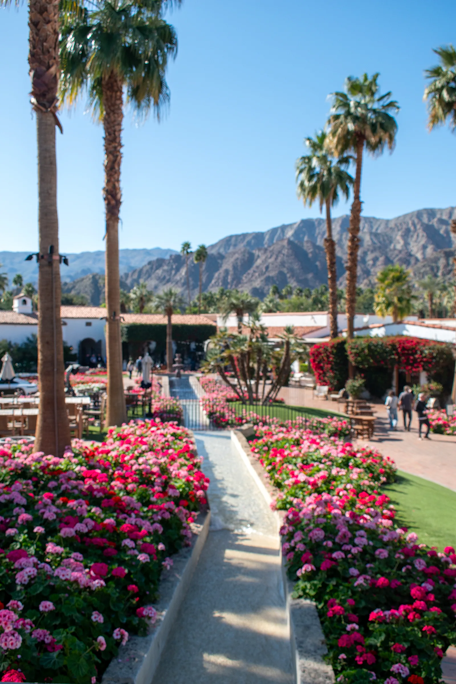 Resort plaza with fountain and vibrant flowers