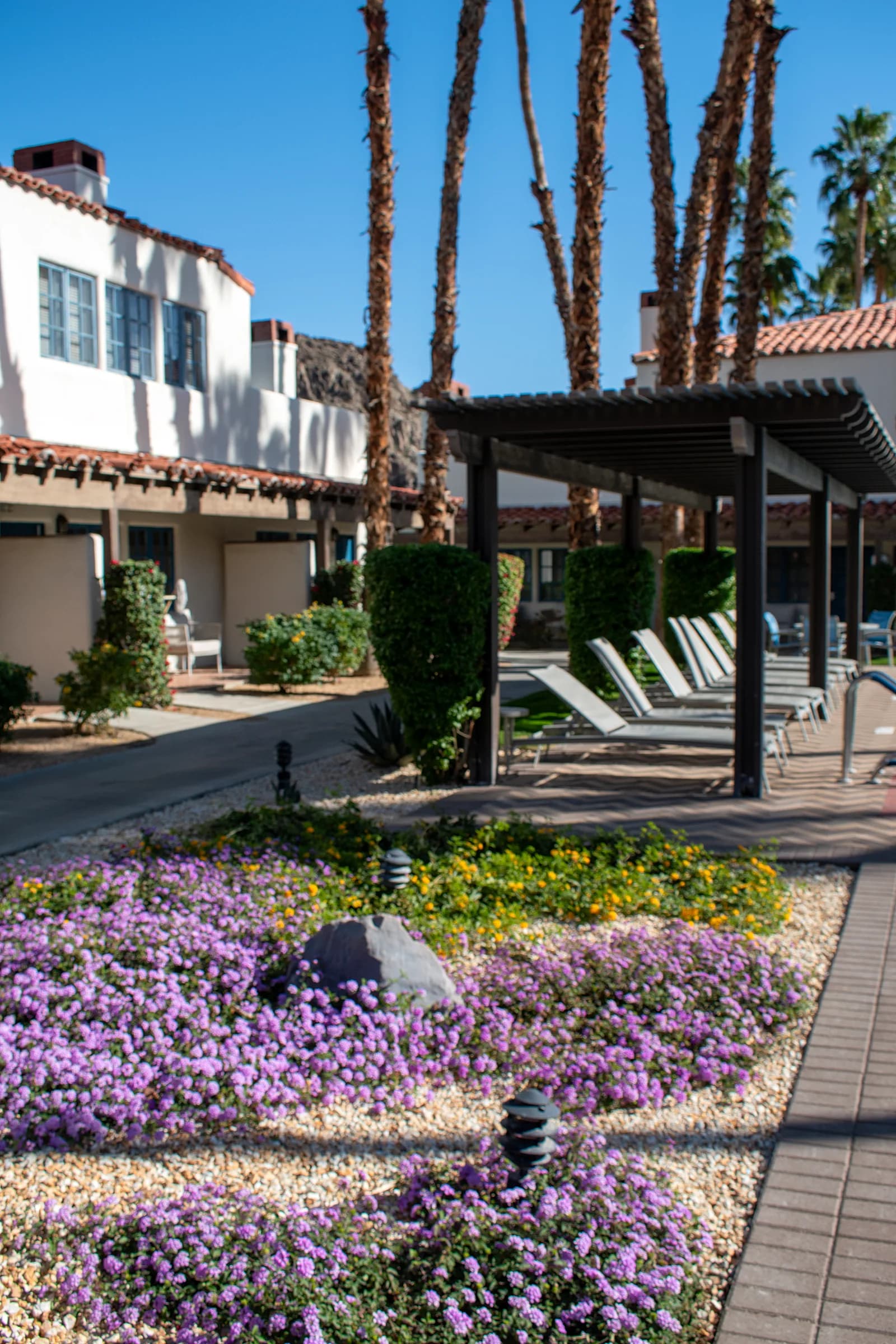 Purple and yellow flower beds near villa