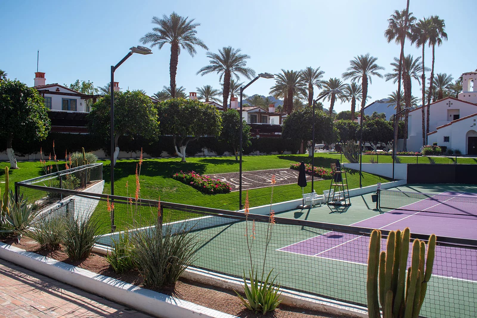 Tennis and pickleball courts with desert plants