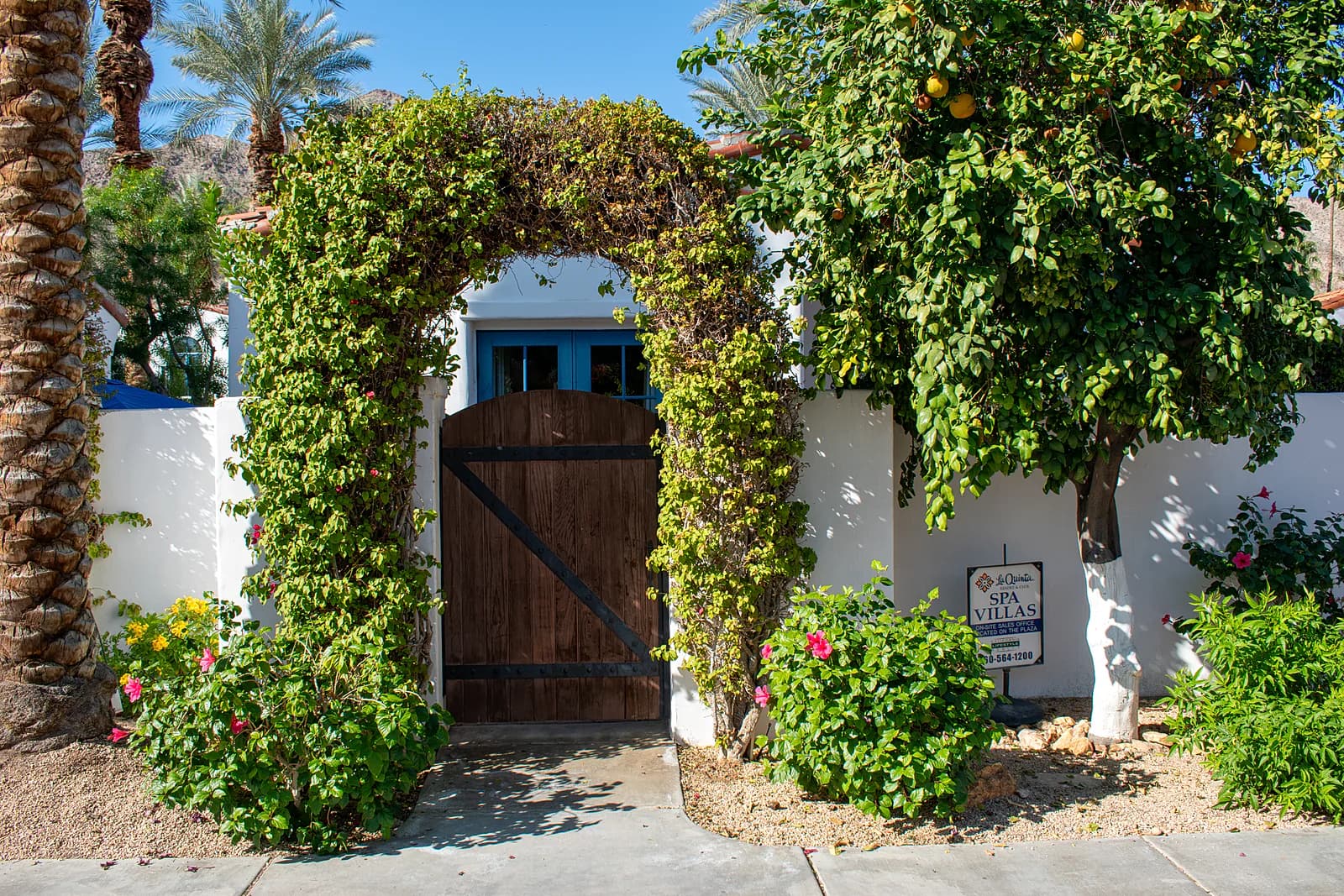Vine-covered villa entrance gate
